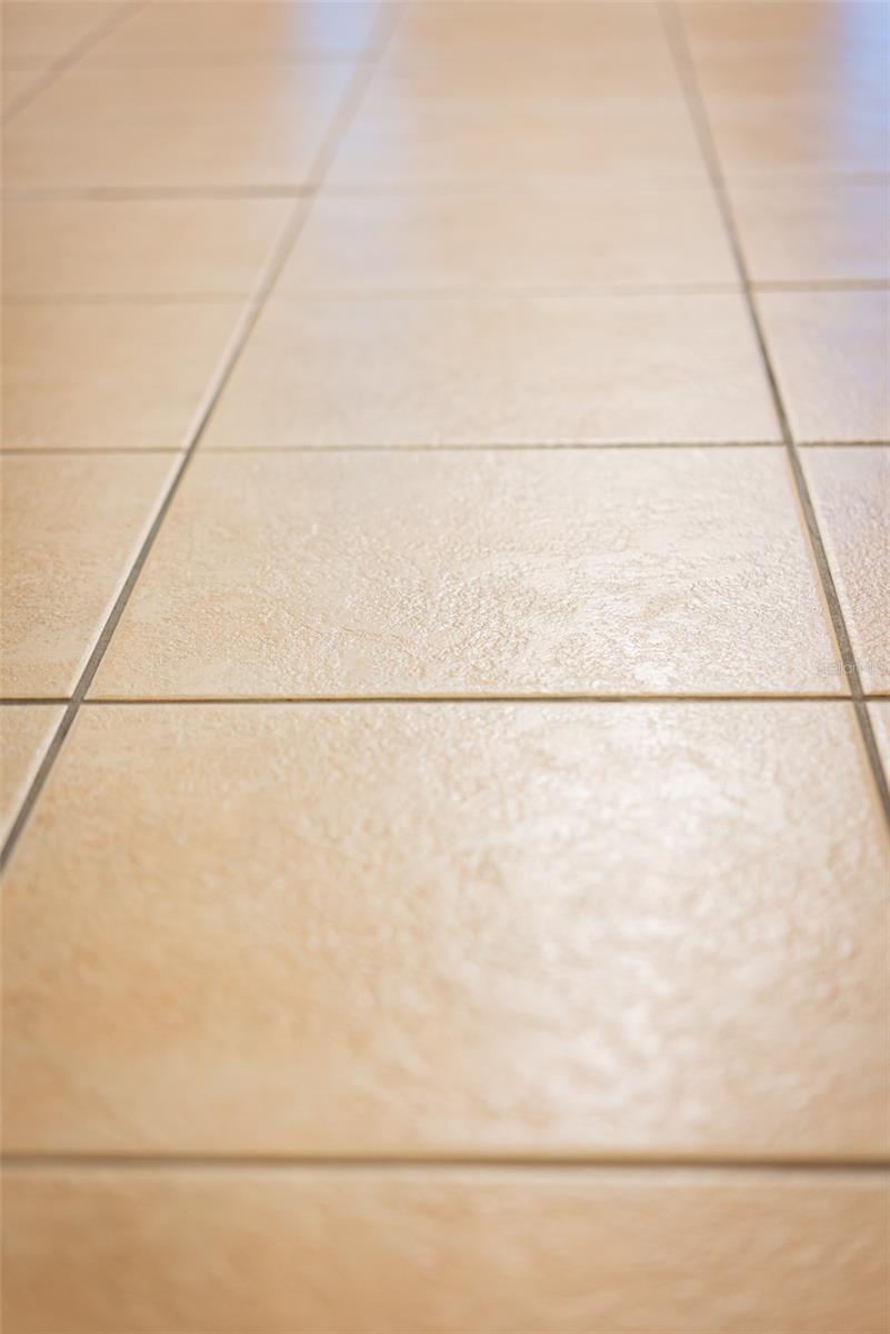 6000 MARTHAS LN, SAINT CLOUD, FL, 34771