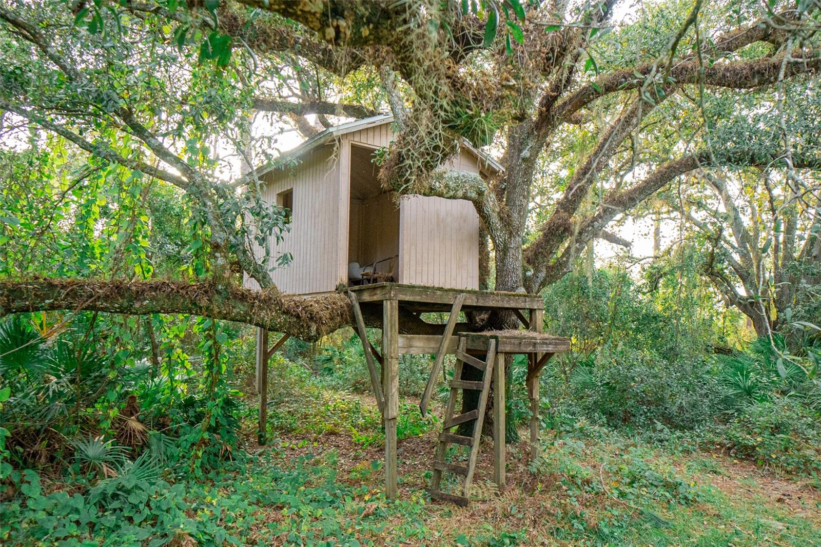 6000 MARTHAS LN, SAINT CLOUD, FL, 34771