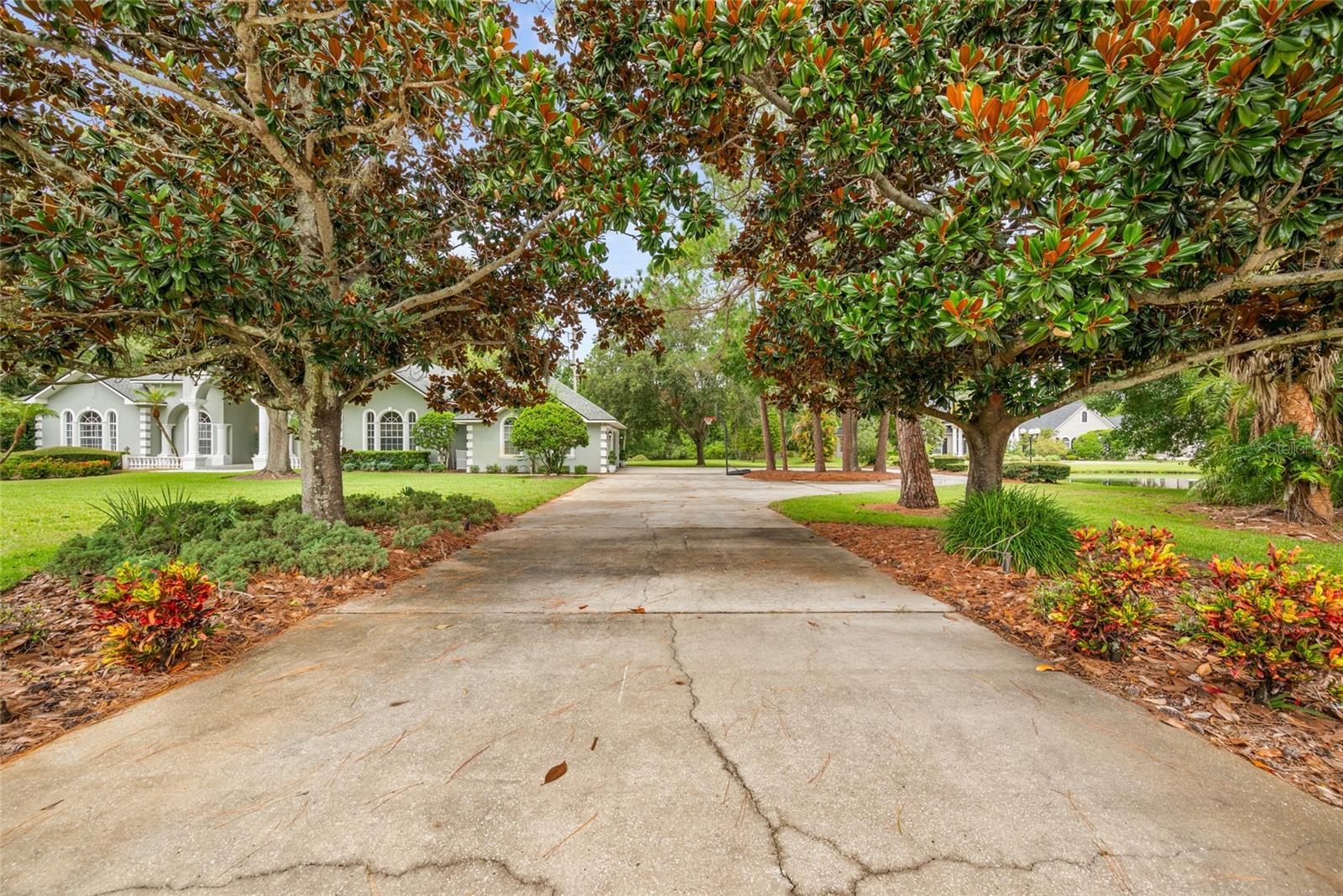 168 RUE DES CHATEAUX, TARPON SPRINGS, FL, 34688