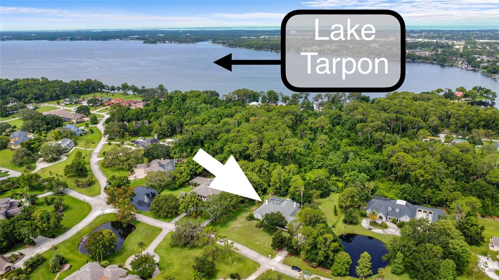 168 RUE DES CHATEAUX, TARPON SPRINGS, FL, 34688