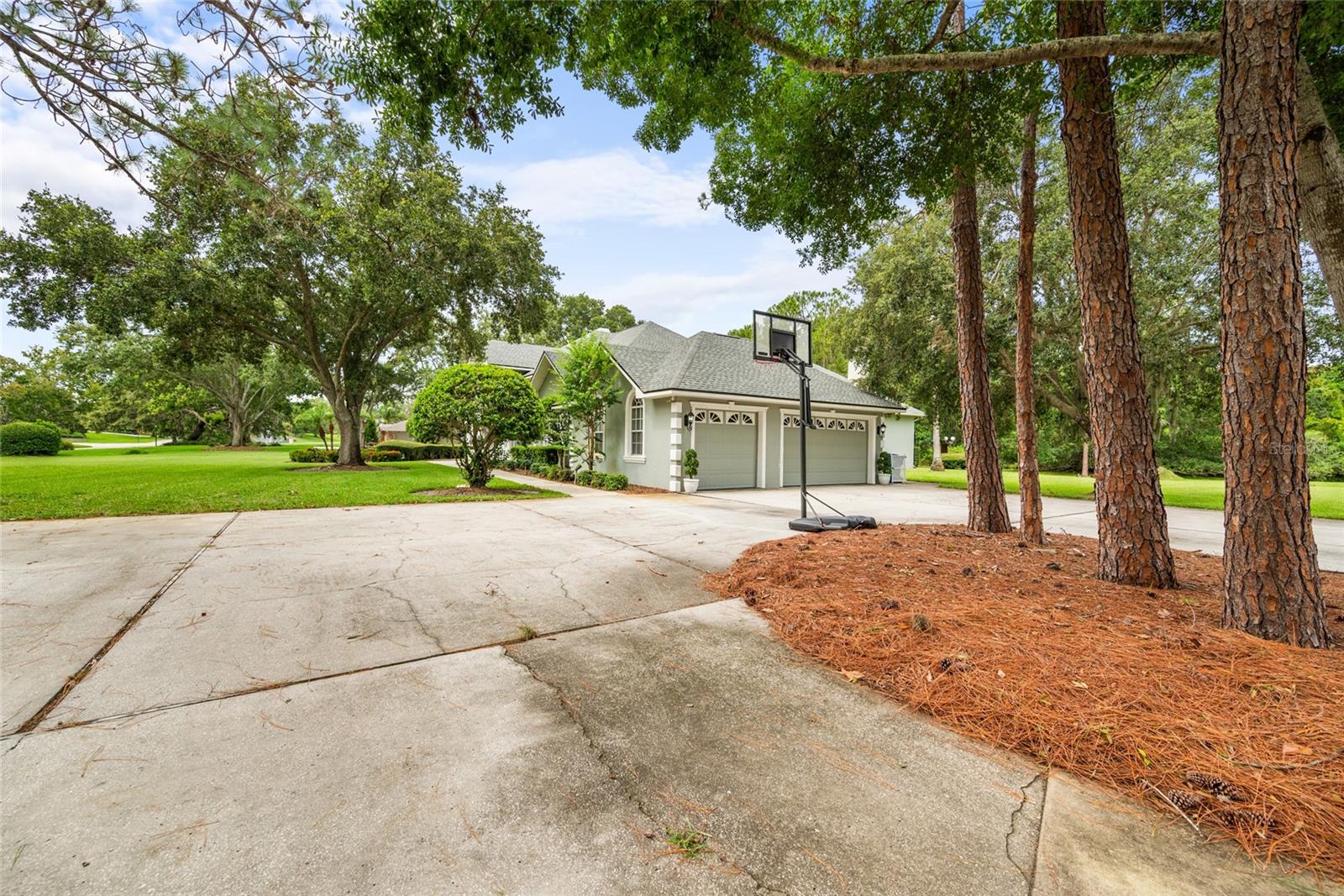 168 RUE DES CHATEAUX, TARPON SPRINGS, FL, 34688