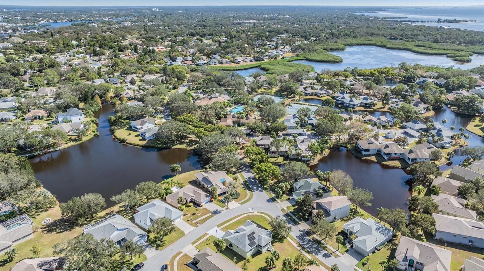 1002 PONDVIEW CT, TARPON SPRINGS, FL, 34689