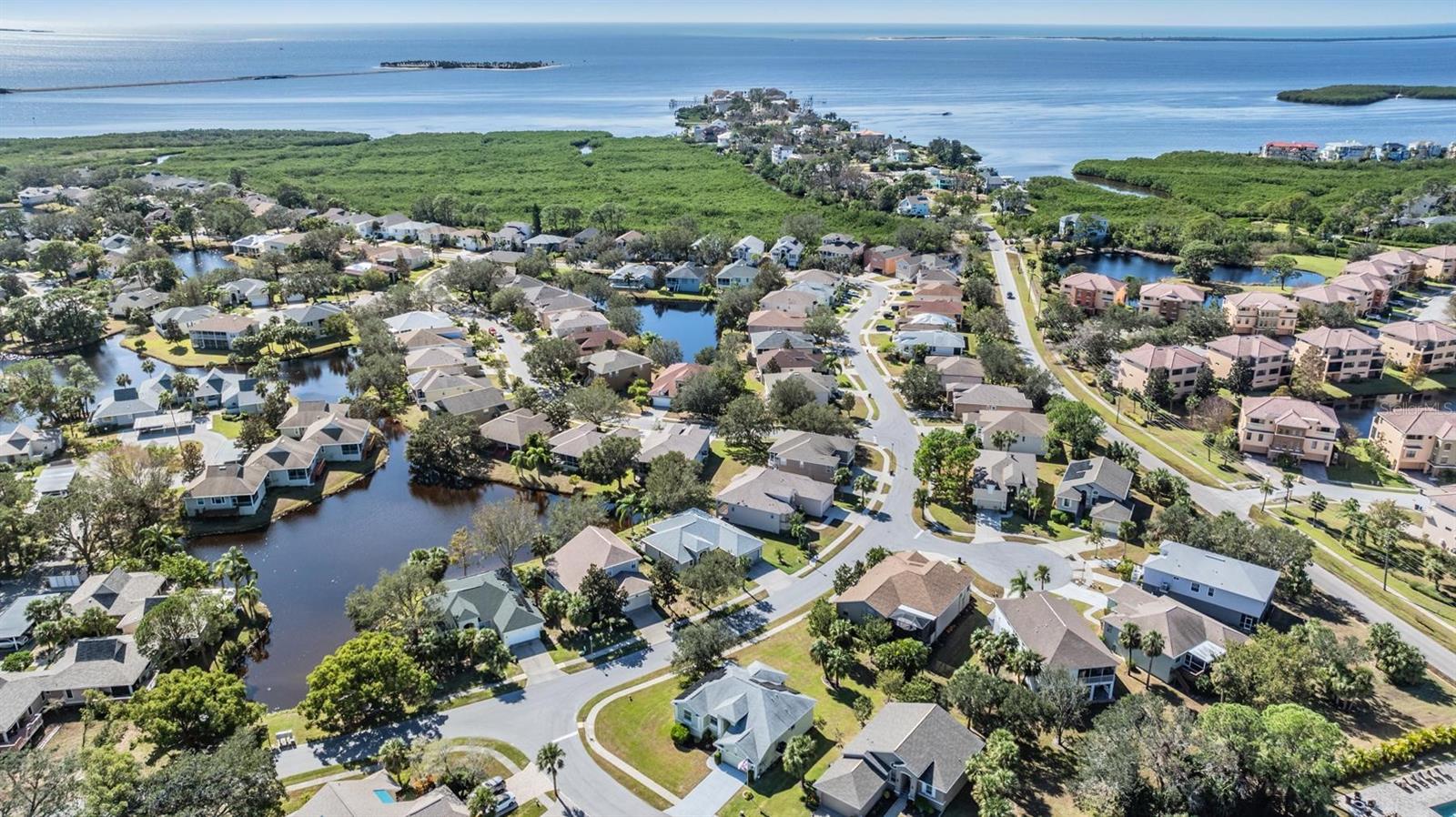 1002 PONDVIEW CT, TARPON SPRINGS, FL, 34689