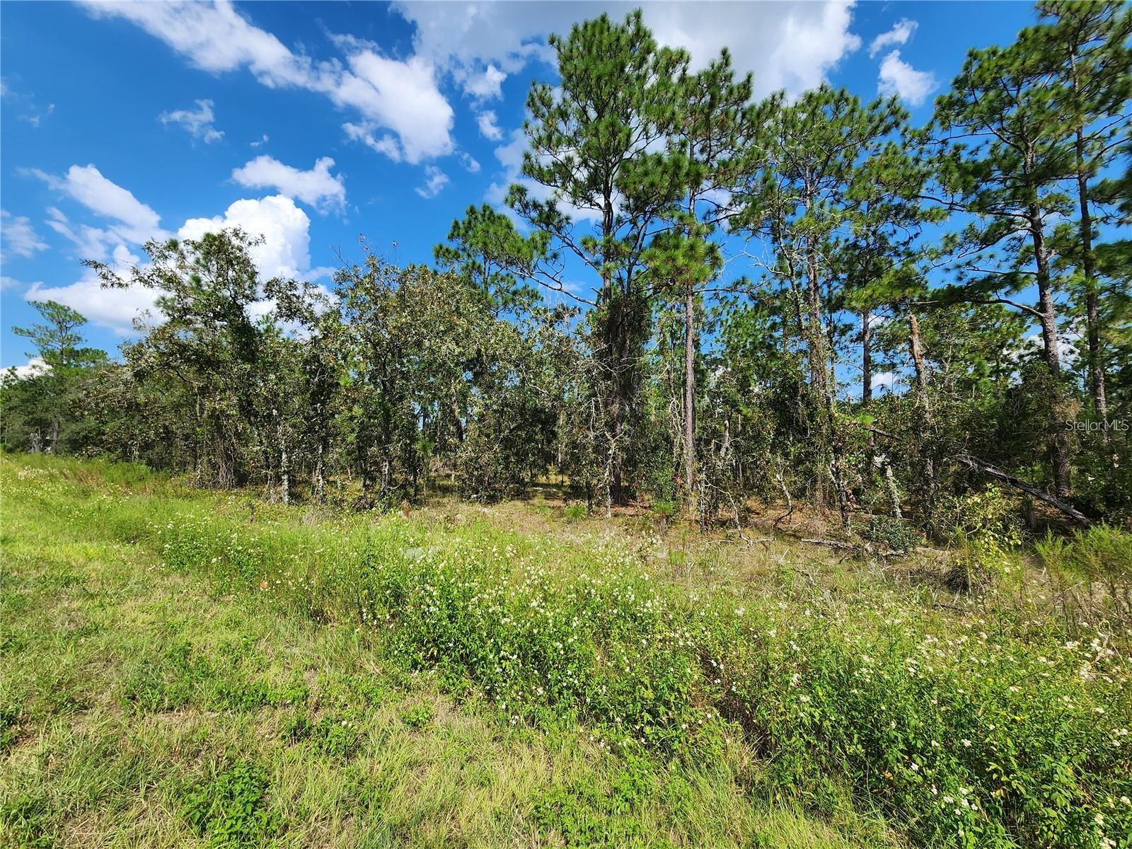 TBD SW RIDGEWOOD RD, DUNNELLON, FL, 34431