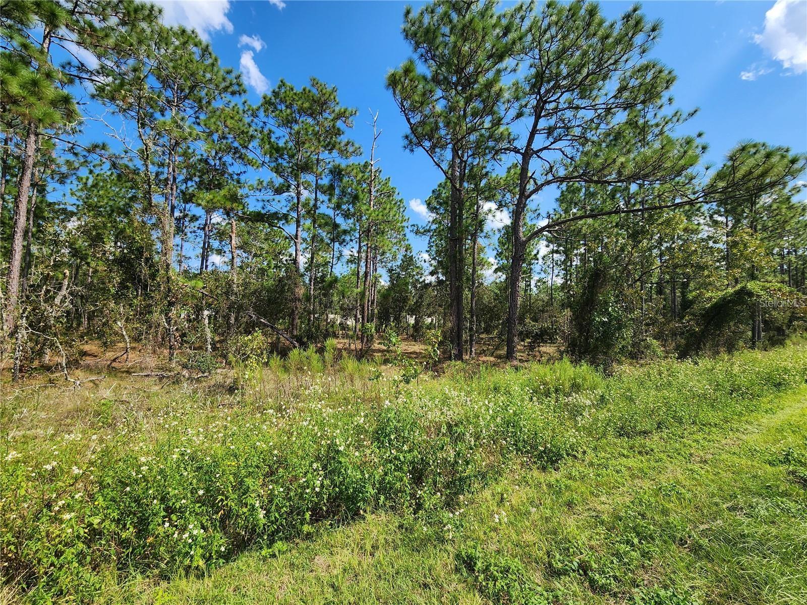 TBD SW RIDGEWOOD RD, DUNNELLON, FL, 34431