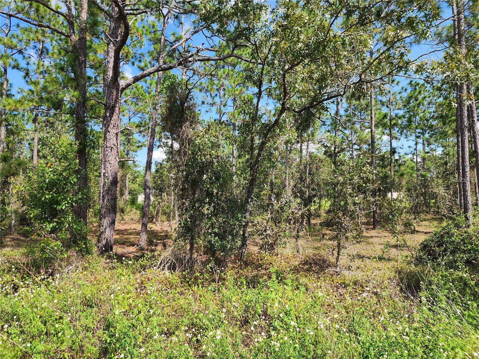 TBD SW RIDGEWOOD RD, DUNNELLON, FL, 34431