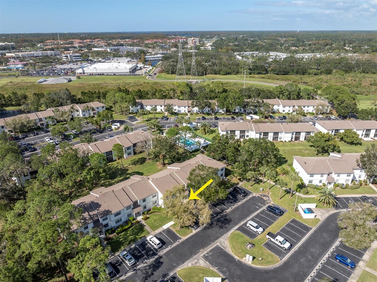 305 WINDWARD PL #305, OLDSMAR, FL, 34677