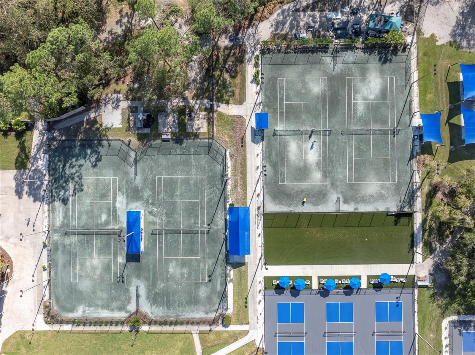 305 WINDWARD PL #305, OLDSMAR, FL, 34677