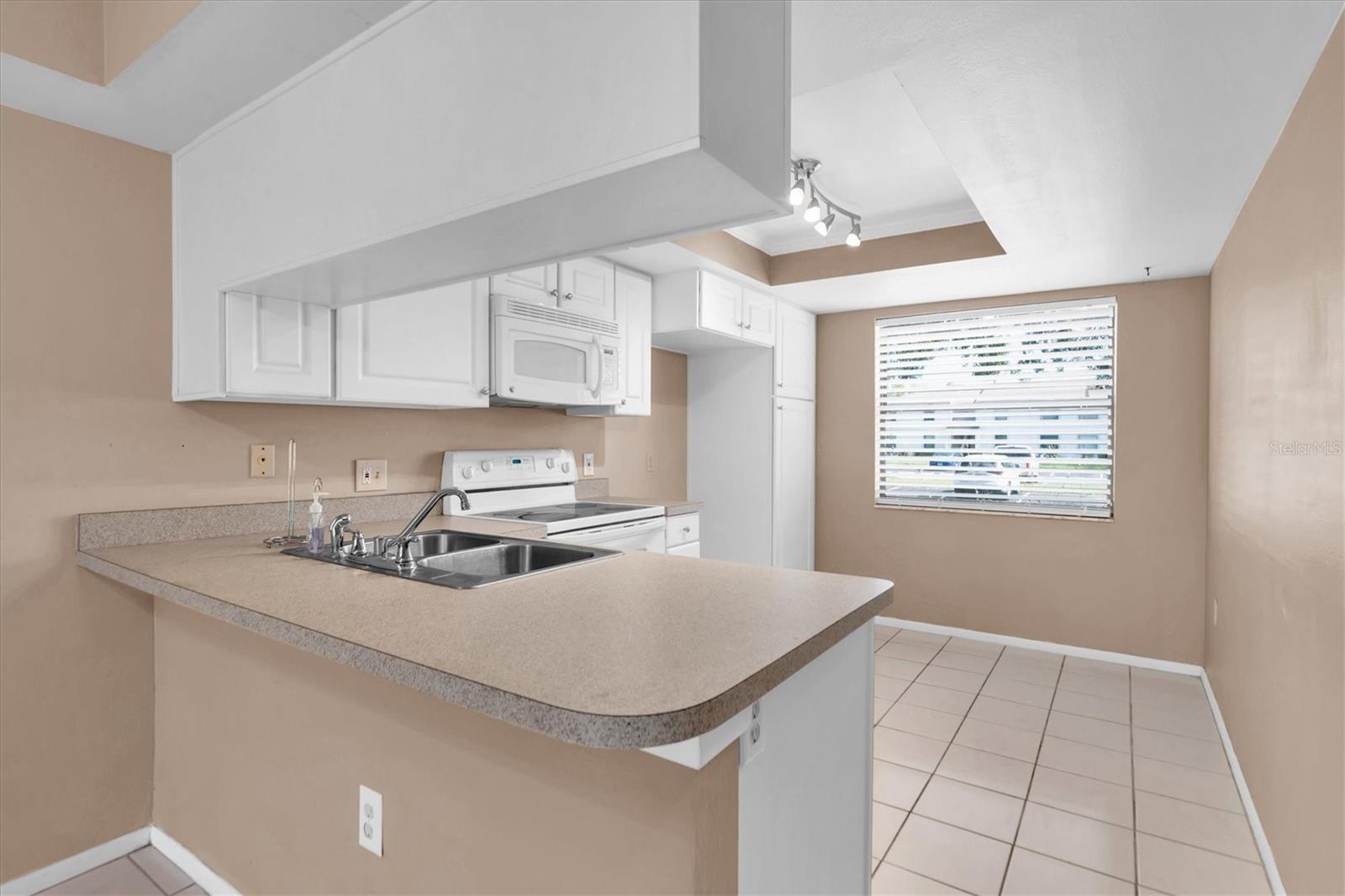 305 WINDWARD PL #305, OLDSMAR, FL, 34677