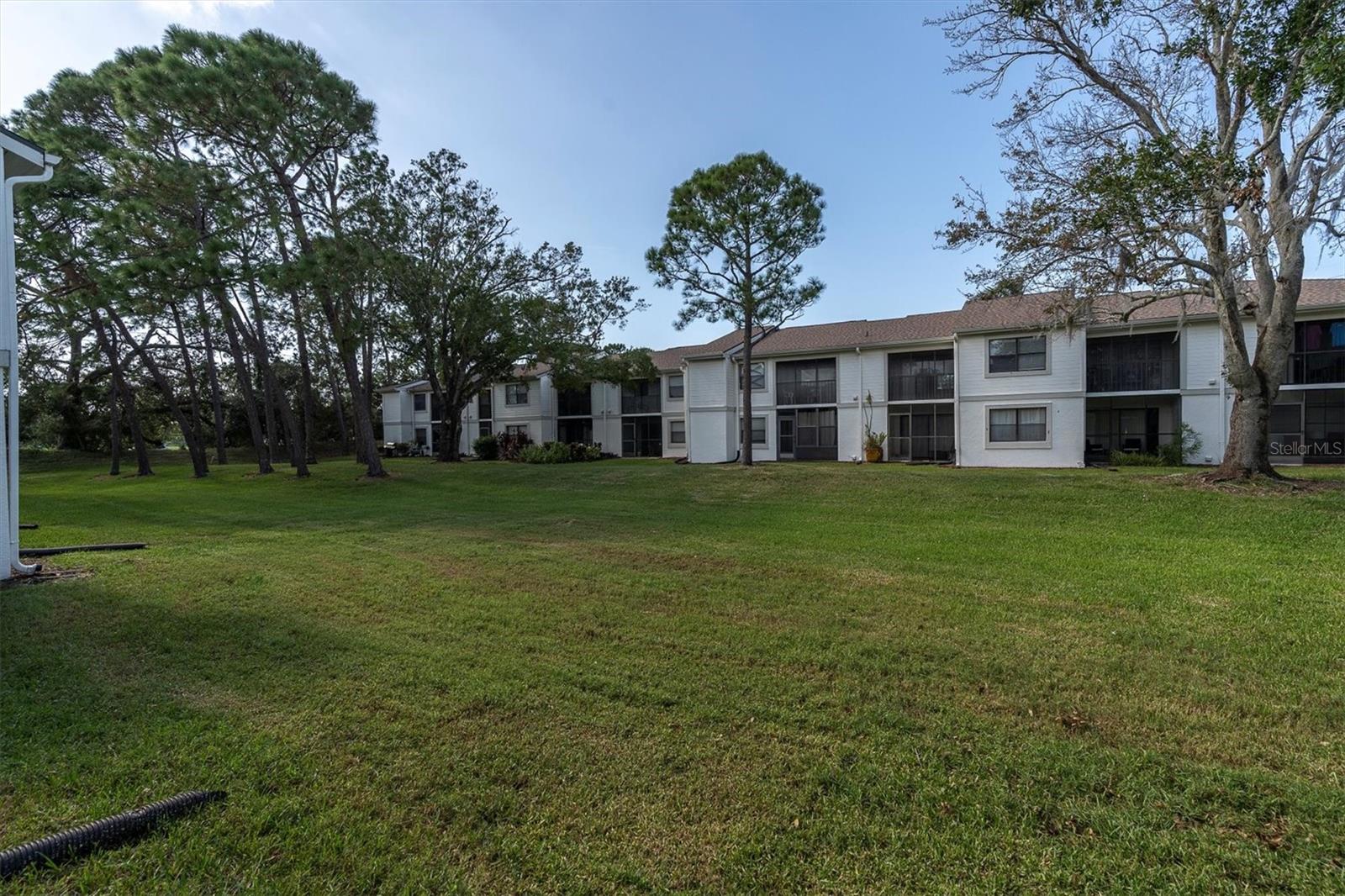 305 WINDWARD PL #305, OLDSMAR, FL, 34677