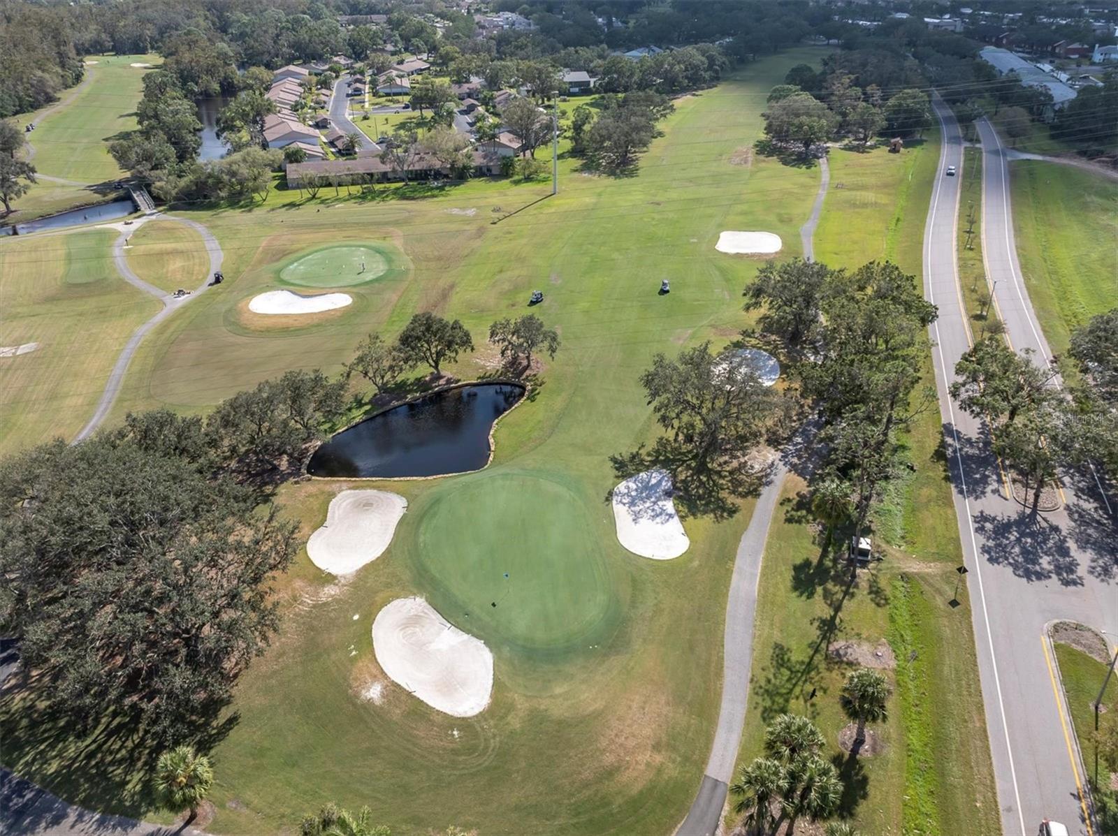 305 WINDWARD PL #305, OLDSMAR, FL, 34677