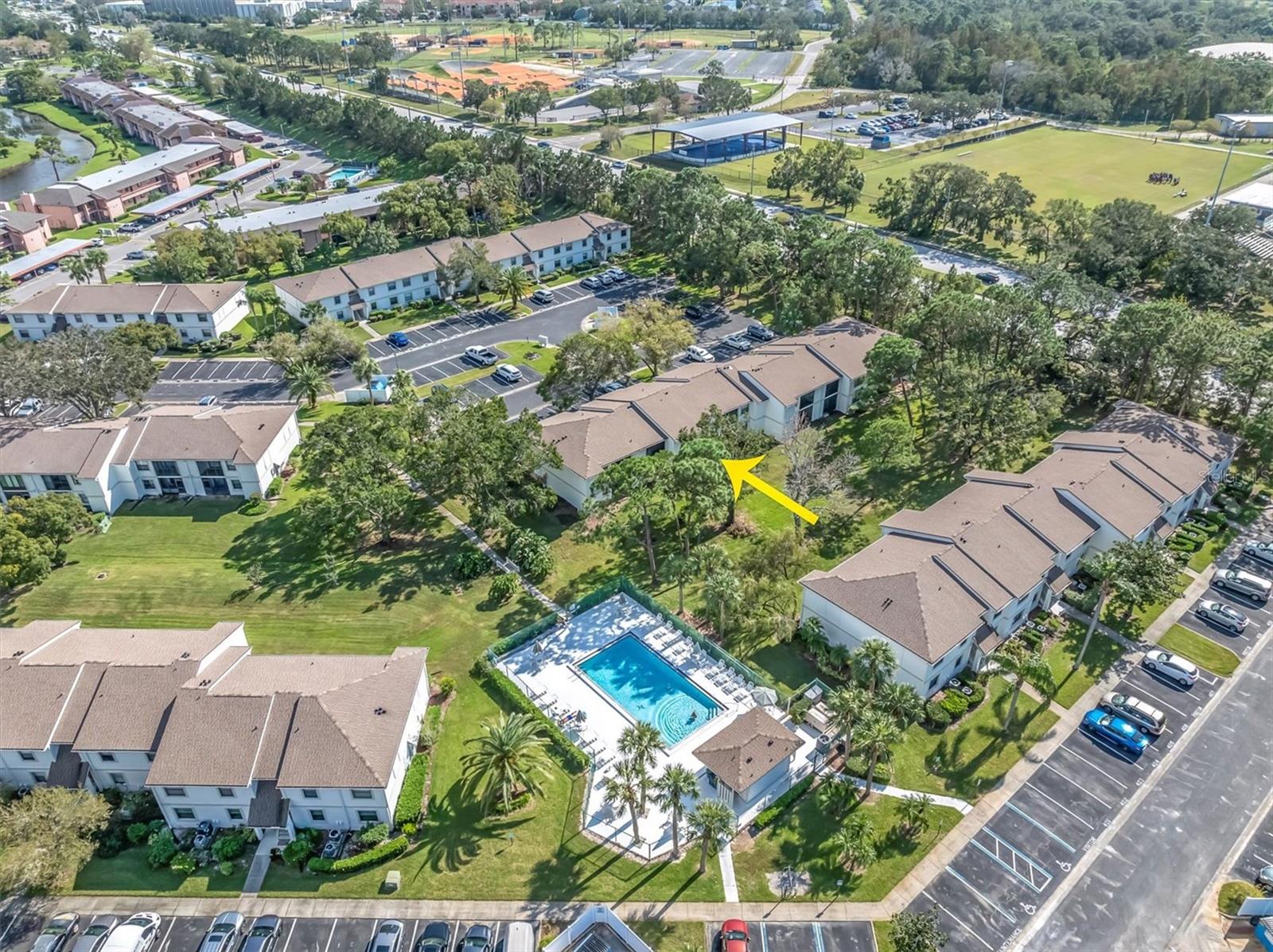 305 WINDWARD PL #305, OLDSMAR, FL, 34677