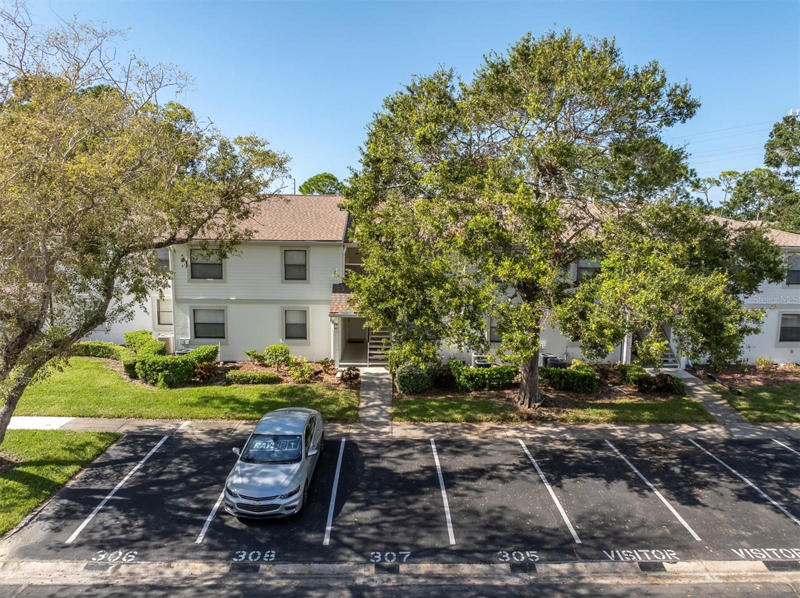 305 WINDWARD PL #305, OLDSMAR, FL, 34677
