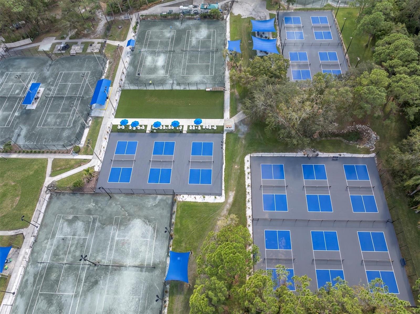 305 WINDWARD PL #305, OLDSMAR, FL, 34677