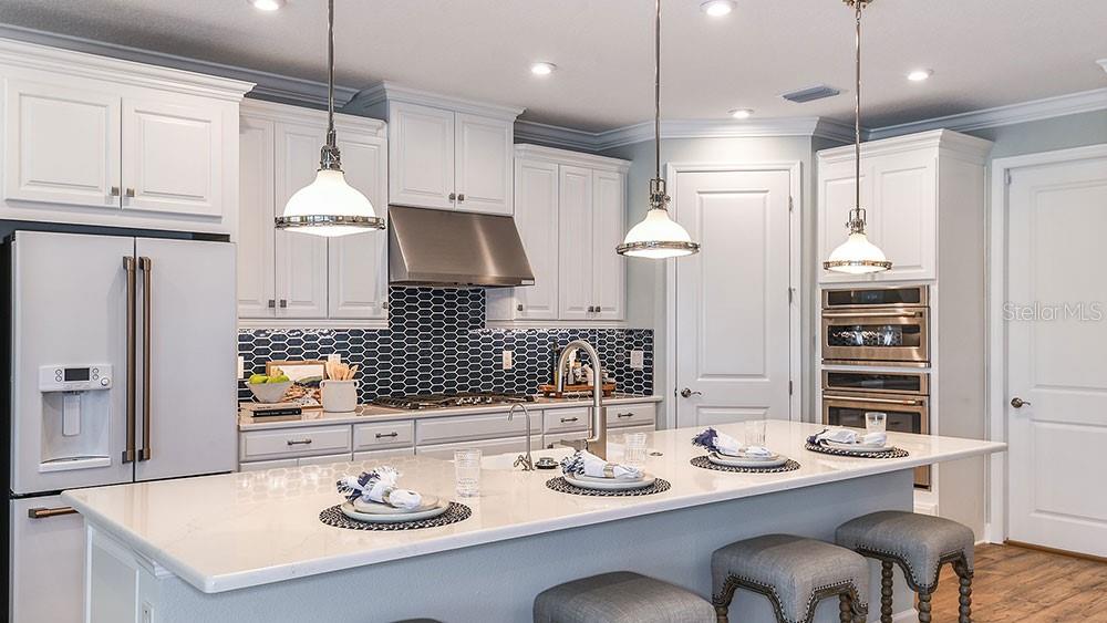 33909 ANCHOR LIGHT LN, WESLEY CHAPEL, FL, 33543