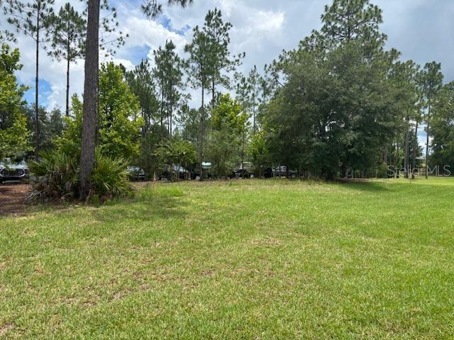 6925 SW 179TH COURT RD, DUNNELLON, FL, 34432