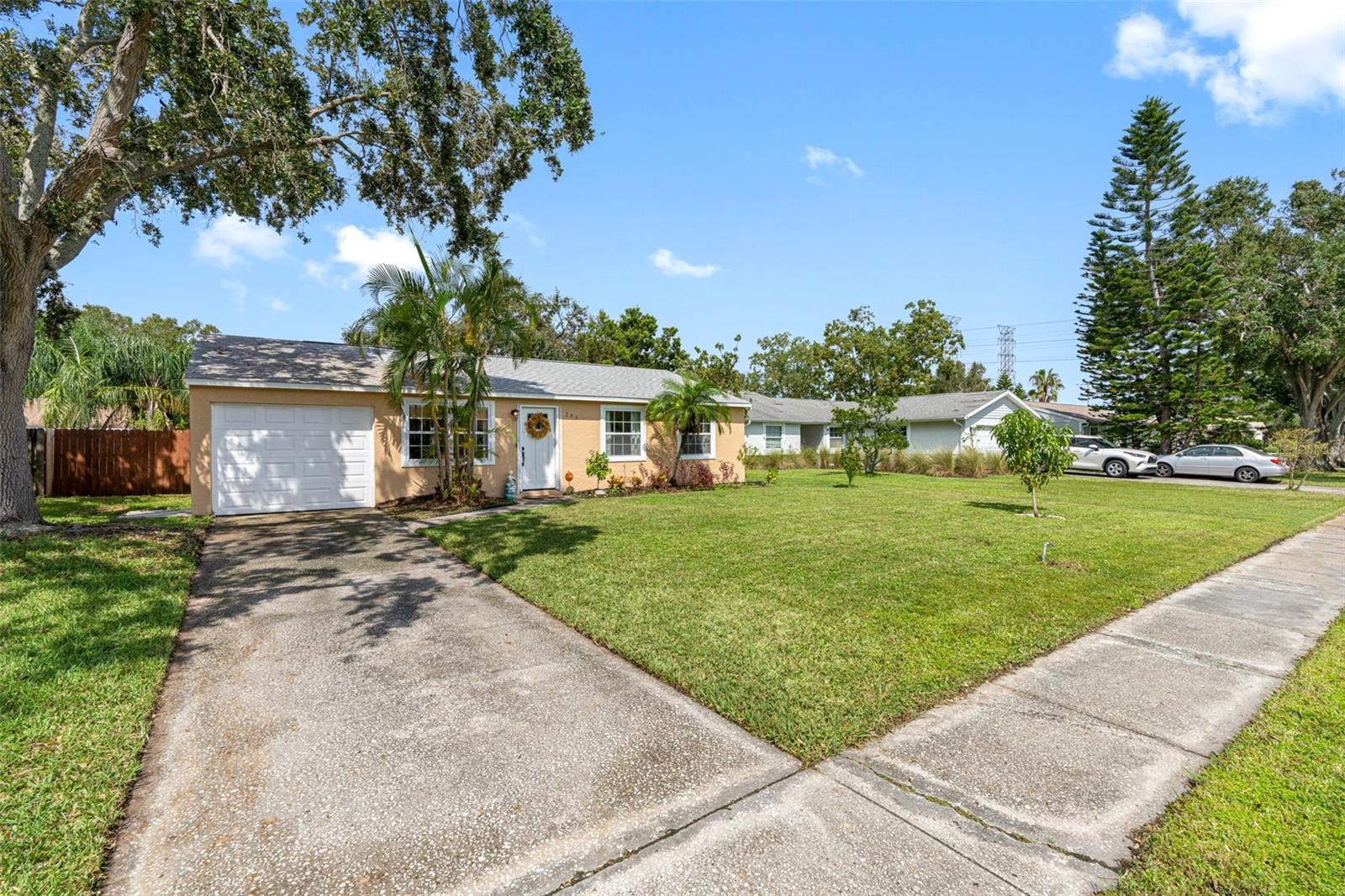206 LEXINGTON ST, OLDSMAR, FL, 34677