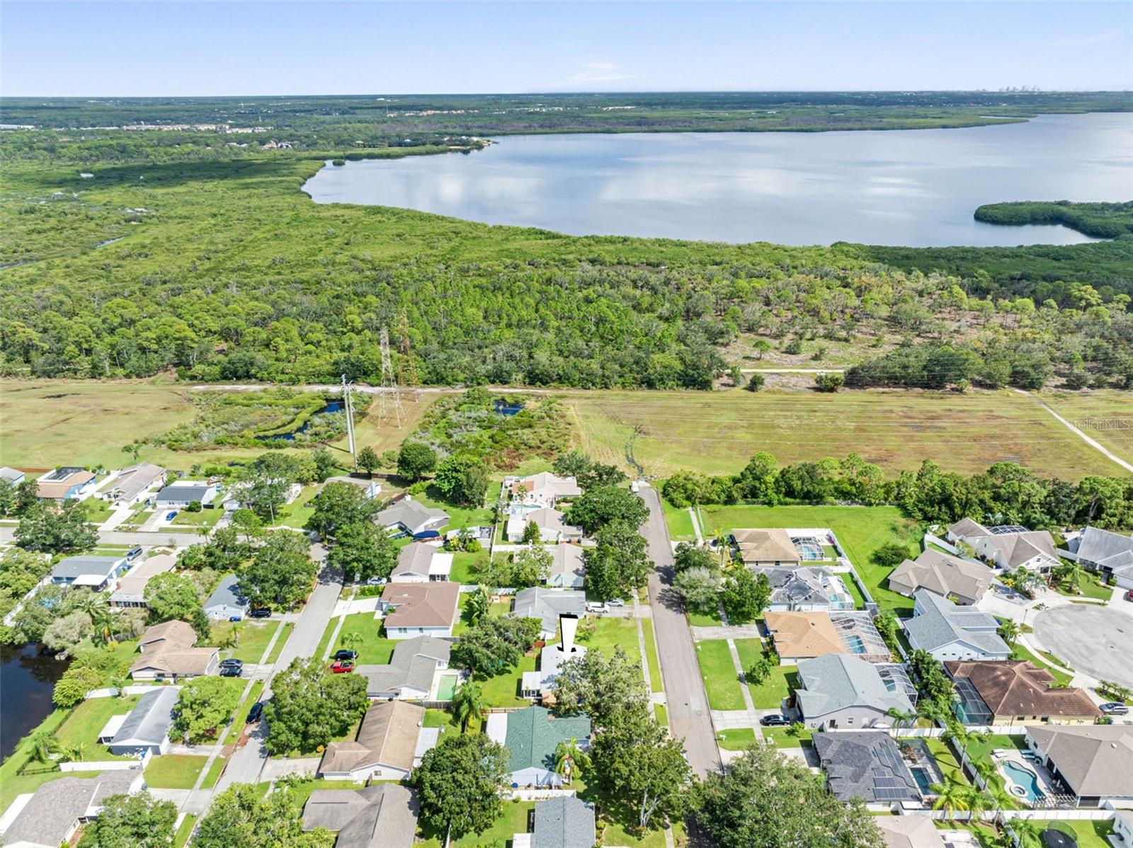 206 LEXINGTON ST, OLDSMAR, FL, 34677
