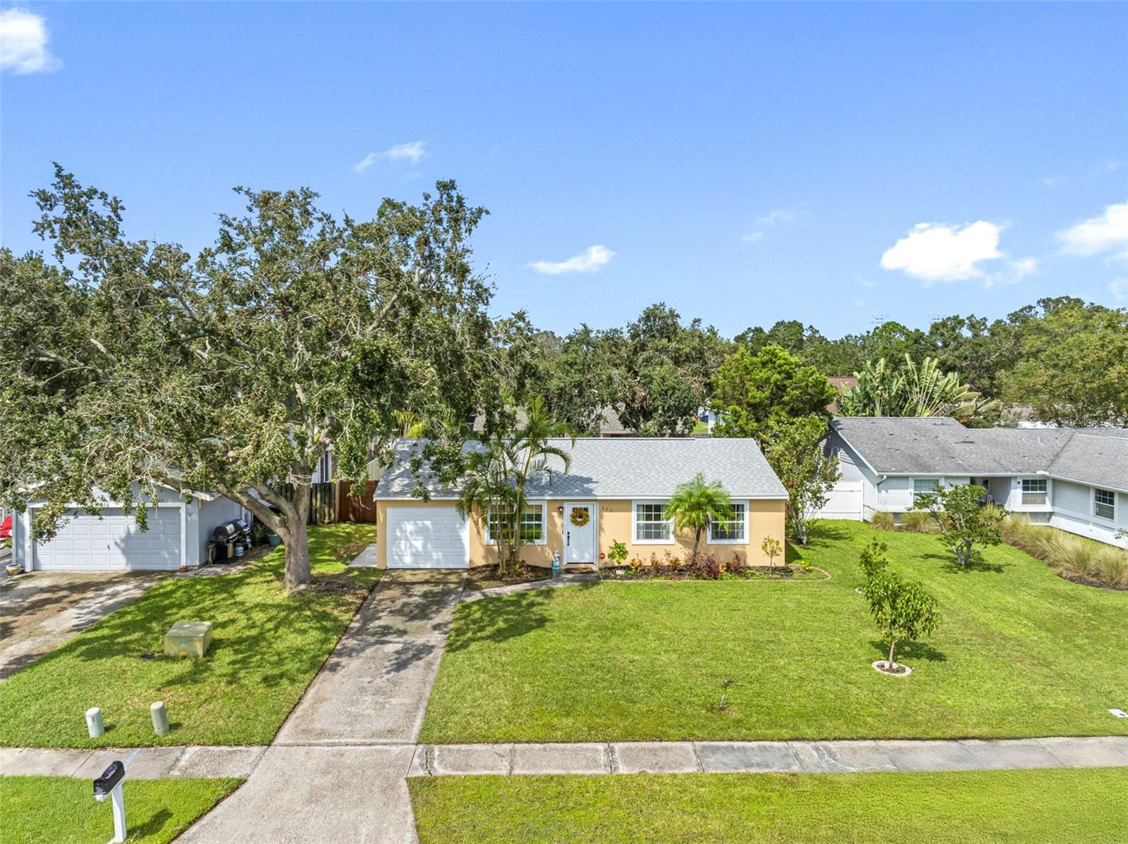 206 LEXINGTON ST, OLDSMAR, FL, 34677