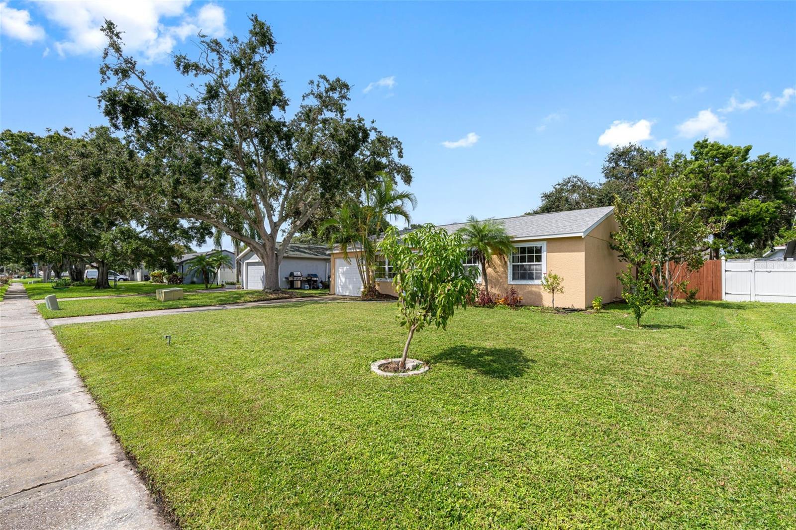 206 LEXINGTON ST, OLDSMAR, FL, 34677