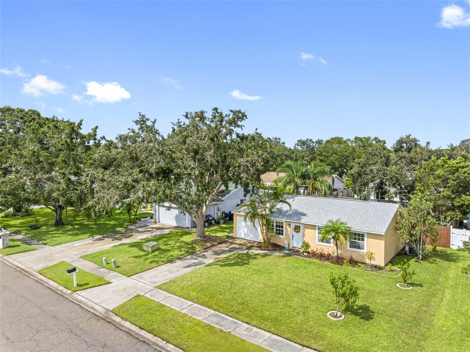206 LEXINGTON ST, OLDSMAR, FL, 34677