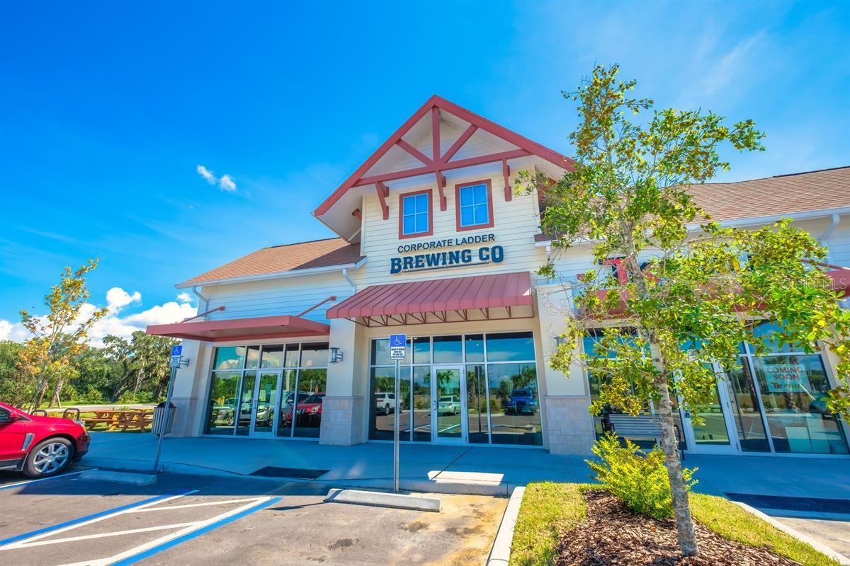 8813 STARRY NIGHT TER, PARRISH, FL, 34219