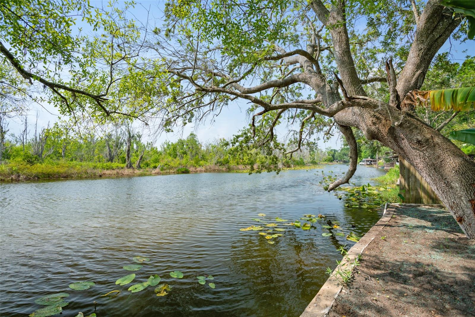 28046 LOIS DR DR, TAVARES, FL, 32778