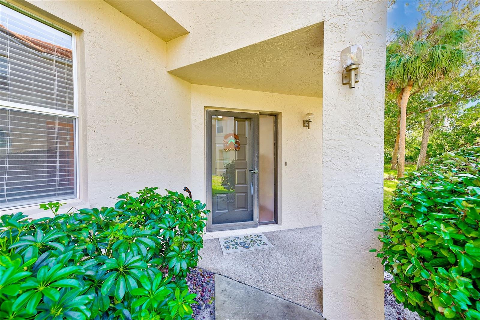 207 CLAYS TRL #207, OLDSMAR, FL, 34677