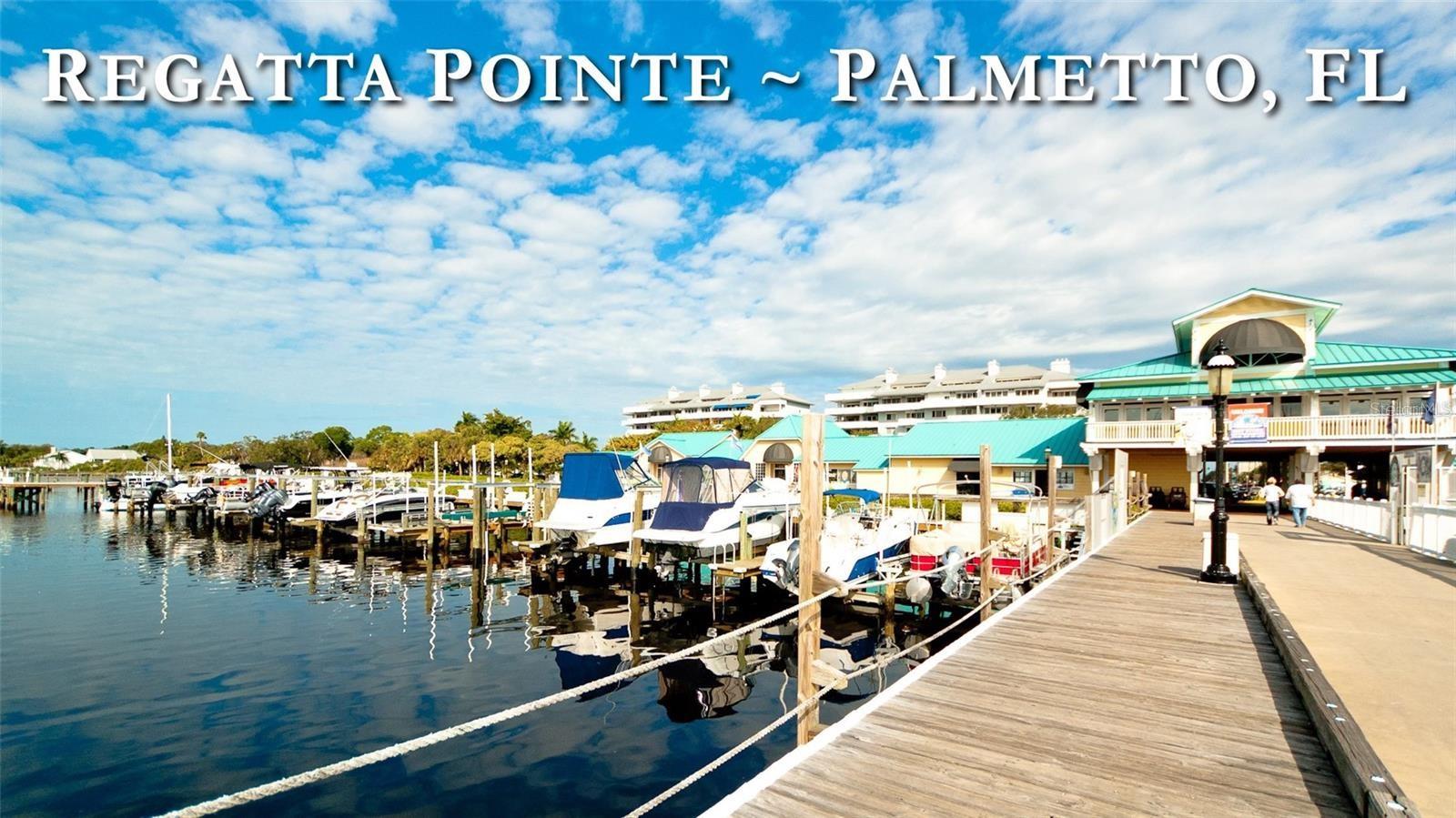 1000 RIVERSIDE DR #B302, PALMETTO, FL, 34221