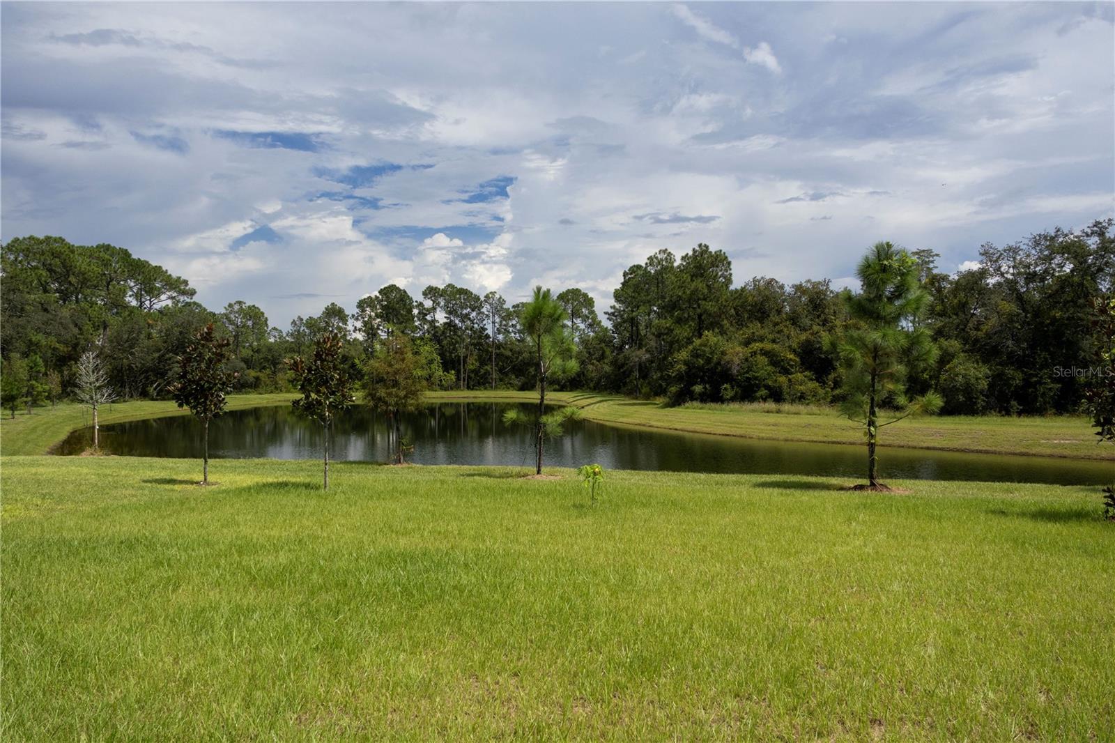 2912 SANCTUARY DR, CLERMONT, FL, 34714