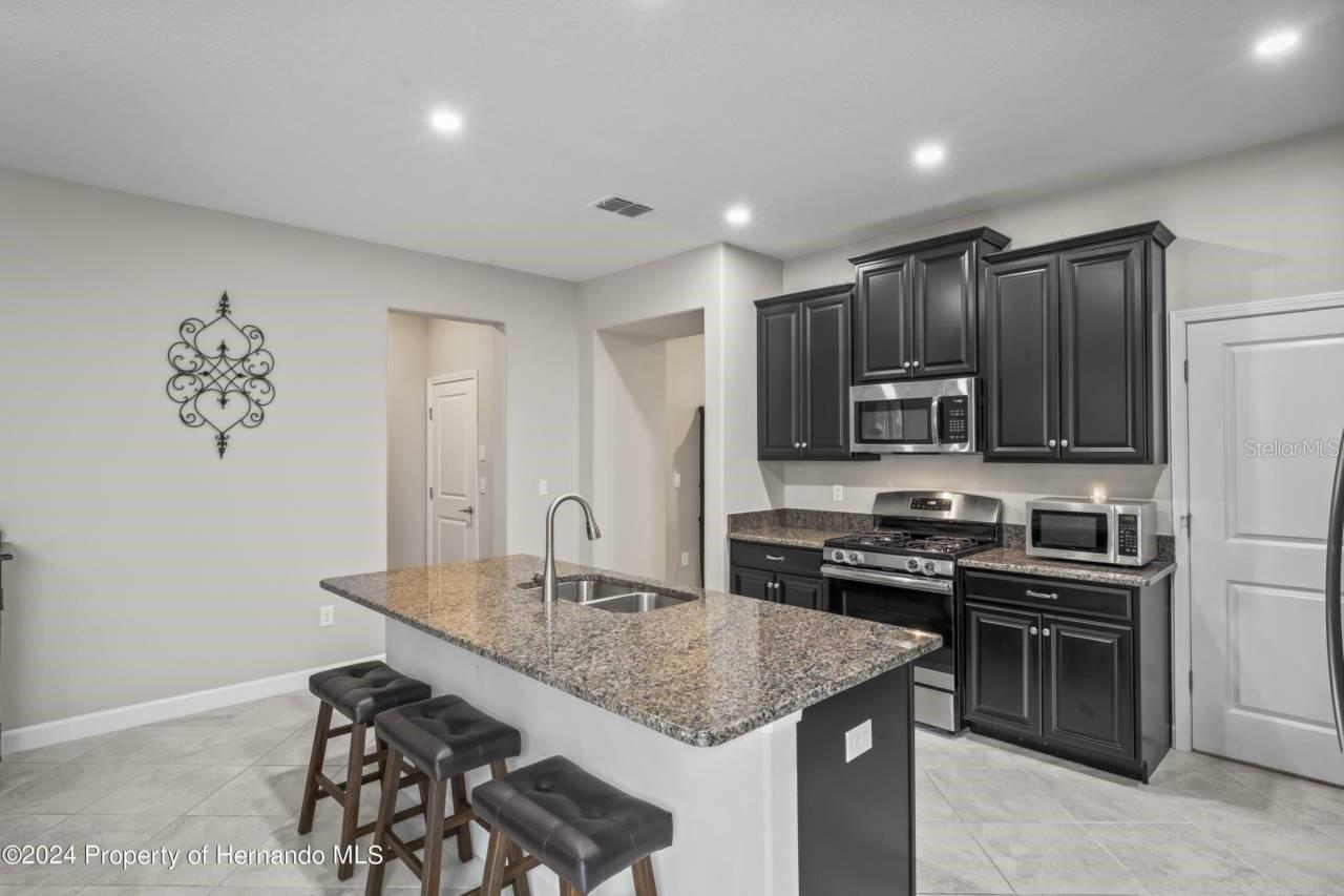 19504 LILY POND ST, BROOKSVILLE, FL, 34601