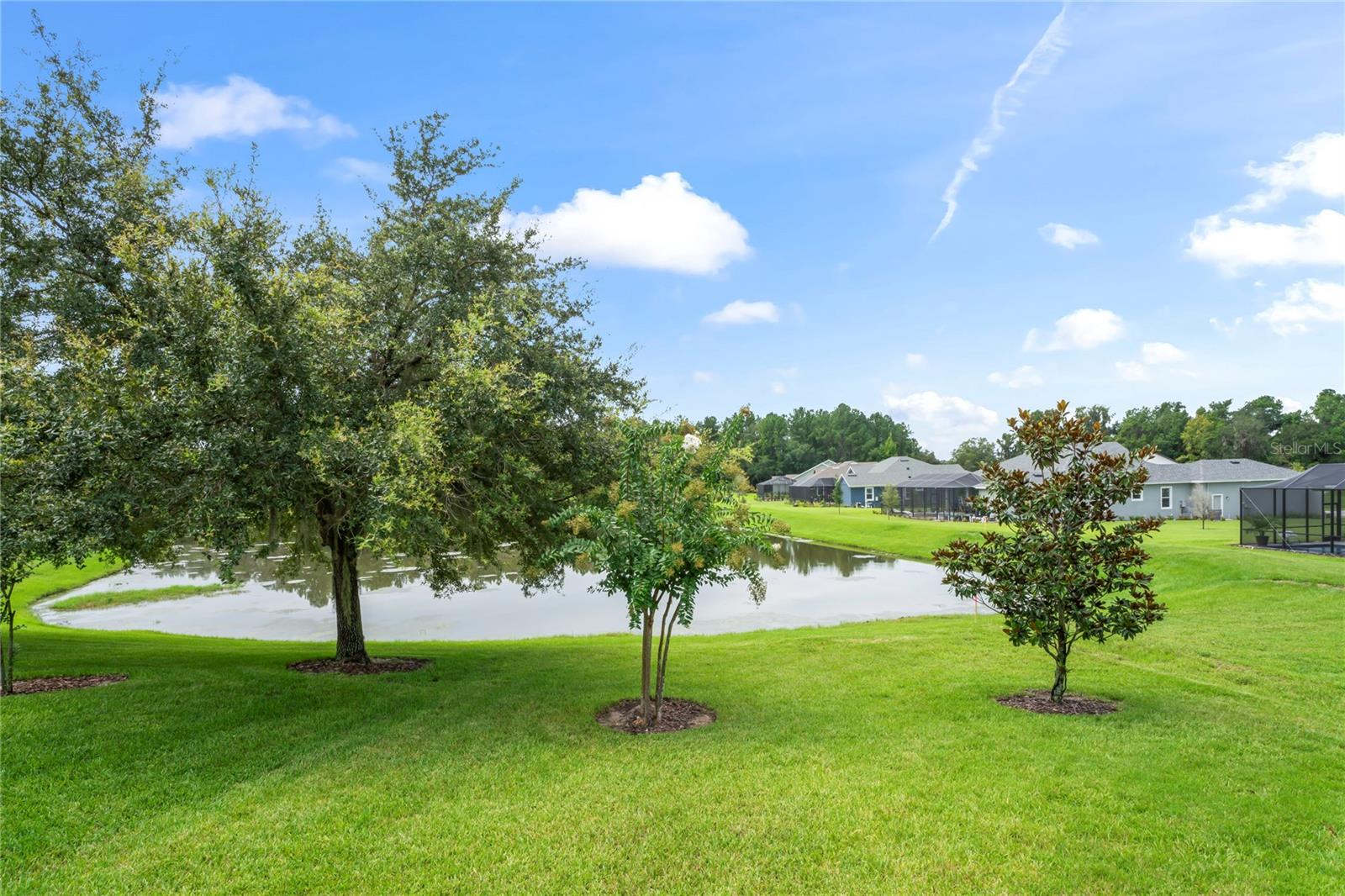 19504 LILY POND ST, BROOKSVILLE, FL, 34601