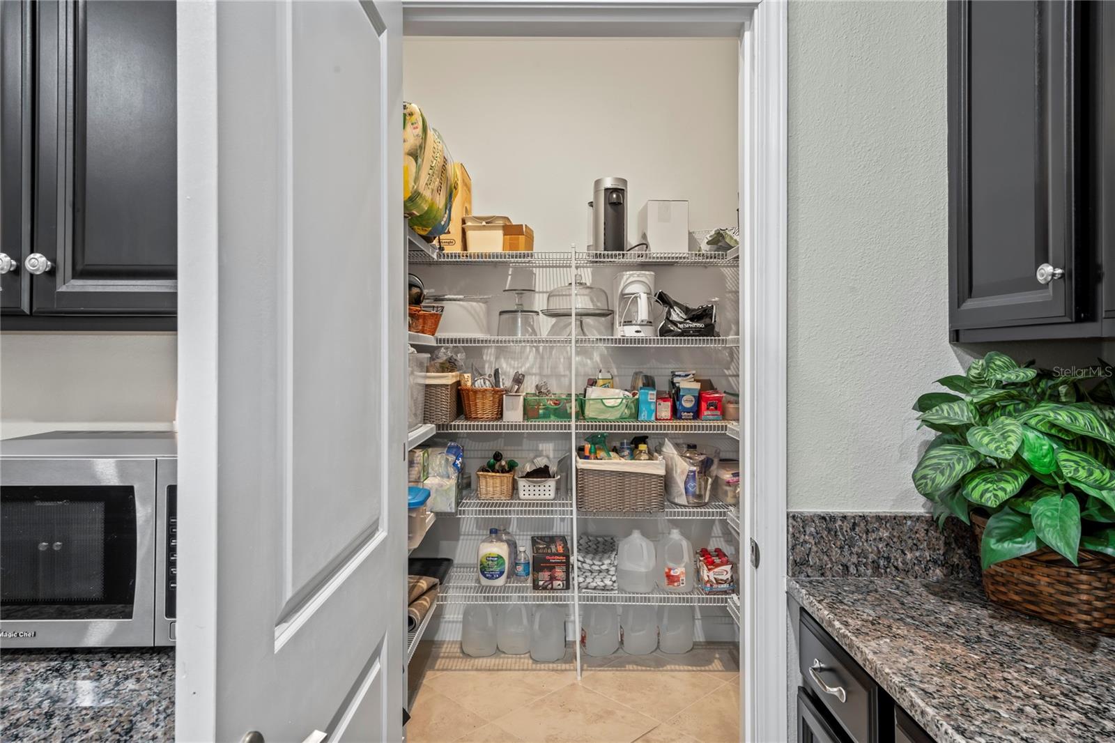 19504 LILY POND ST, BROOKSVILLE, FL, 34601