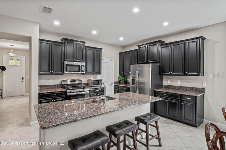 19504 LILY POND ST, BROOKSVILLE, FL, 34601