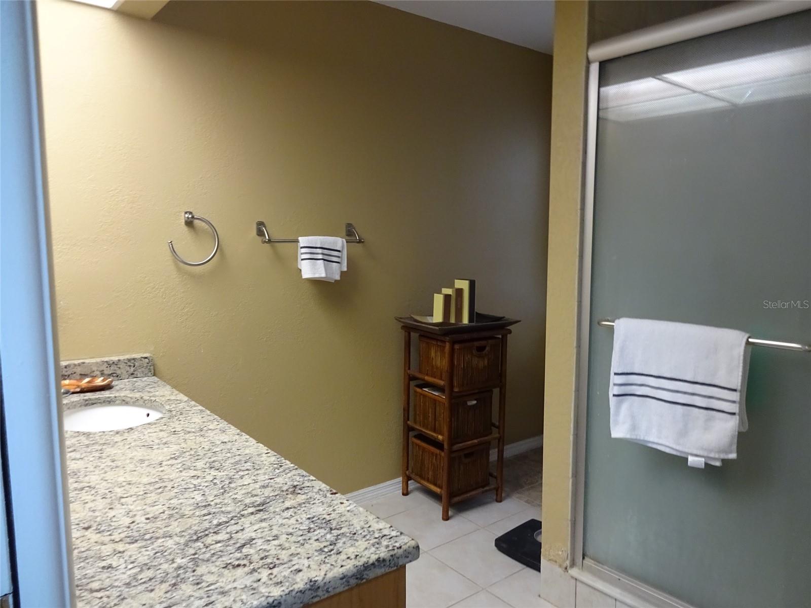 13936 CLUBHOUSE CIR #13936, TAMPA, FL, 33618