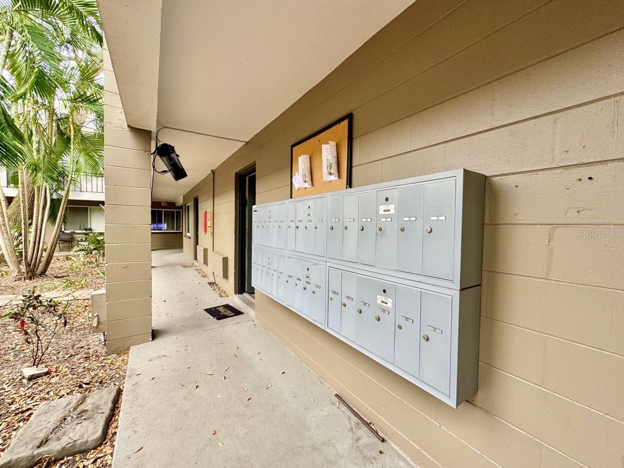 3914 W NEPTUNE ST #31, TAMPA, FL, 33629