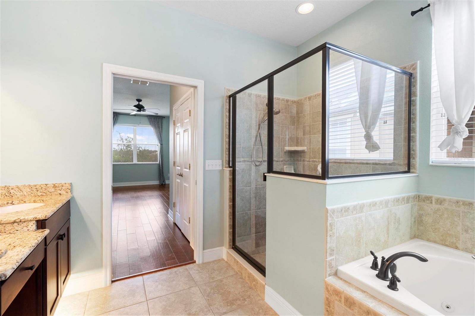 22011 BELGIAN CT, MOUNT DORA, FL, 32757