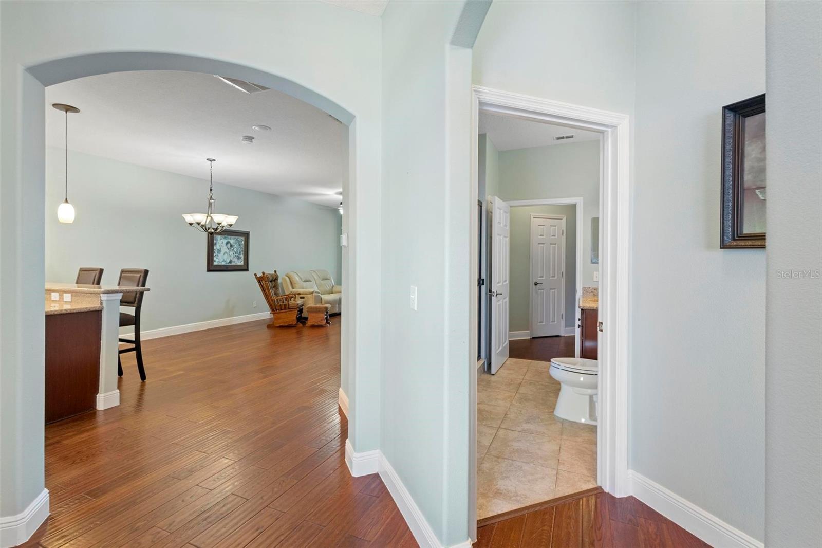 22011 BELGIAN CT, MOUNT DORA, FL, 32757