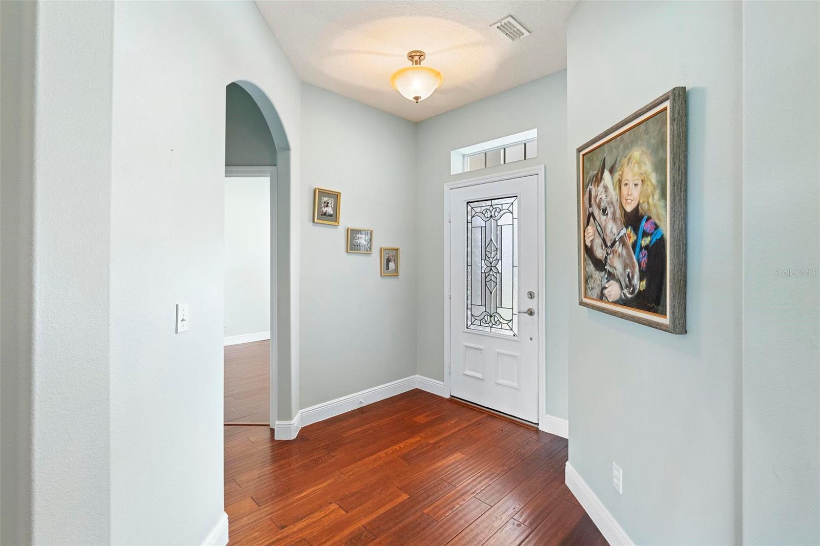 22011 BELGIAN CT, MOUNT DORA, FL, 32757