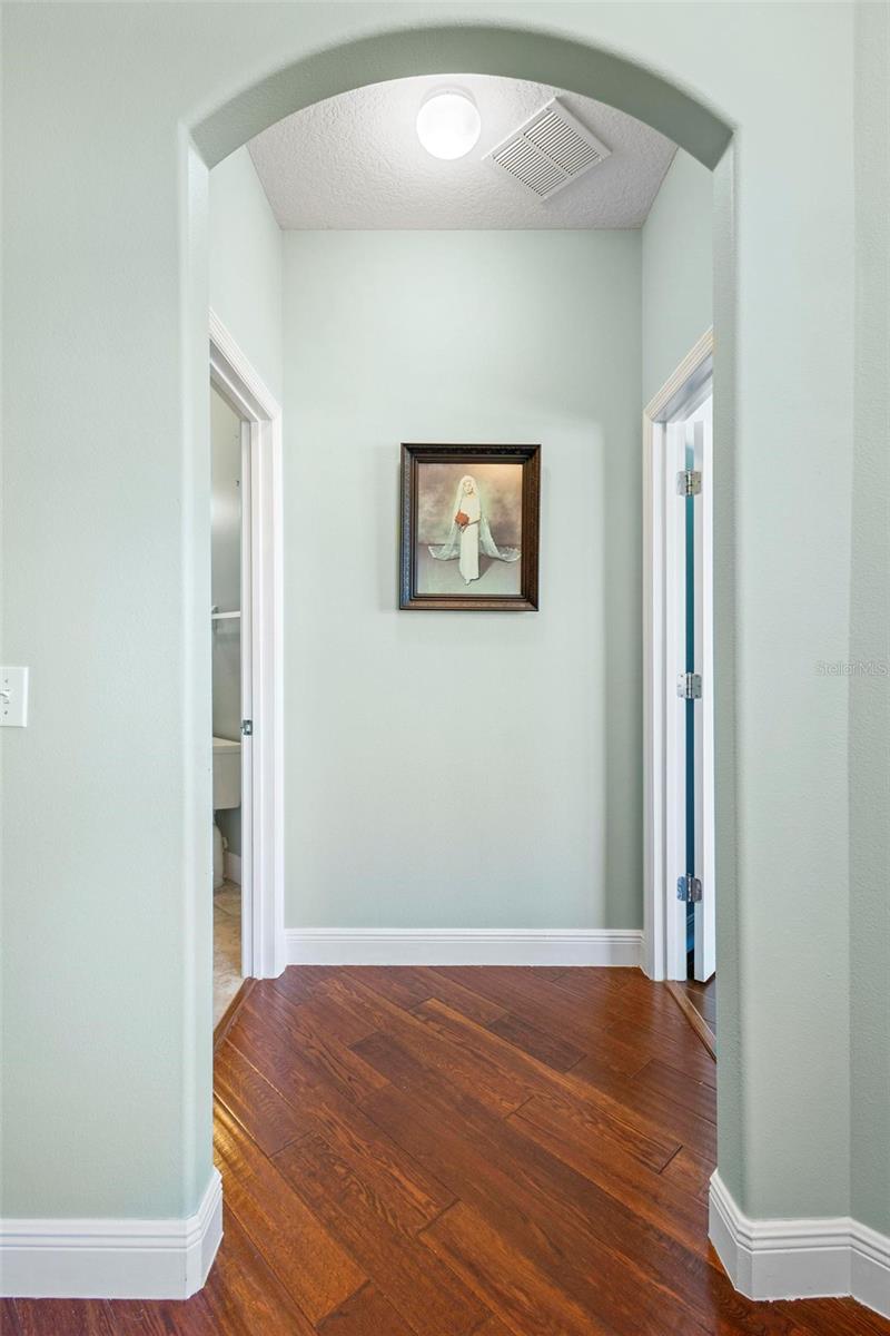 22011 BELGIAN CT, MOUNT DORA, FL, 32757