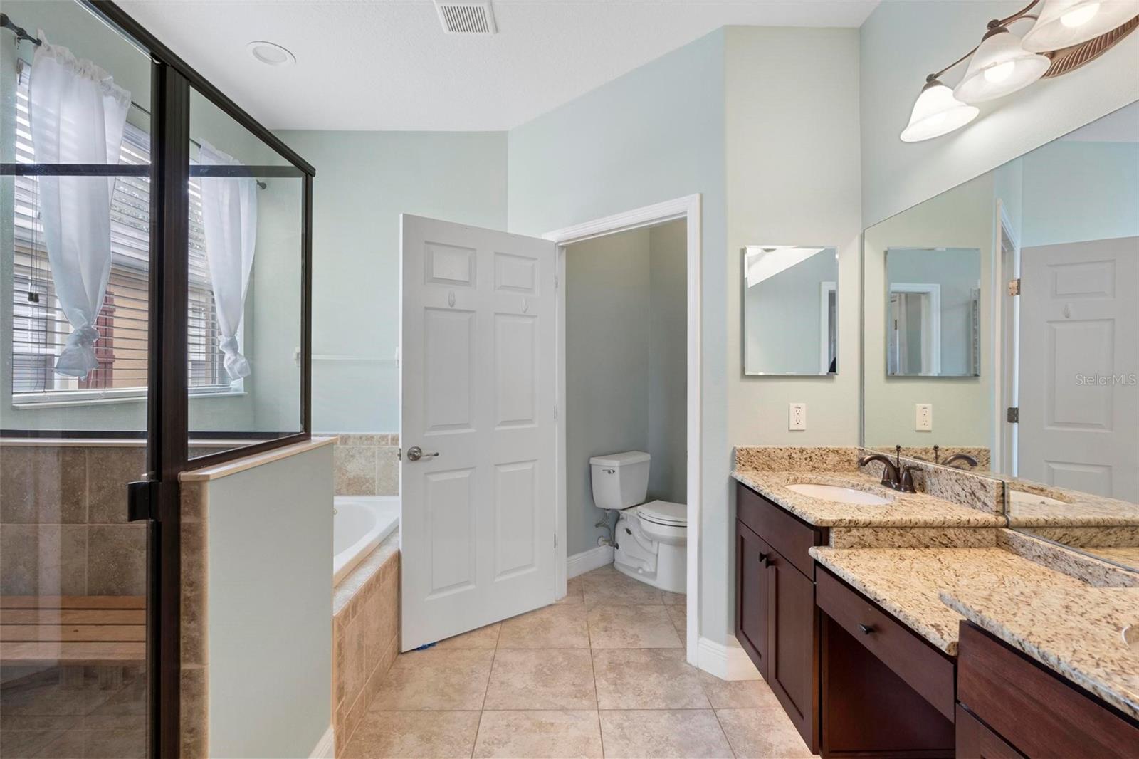 22011 BELGIAN CT, MOUNT DORA, FL, 32757