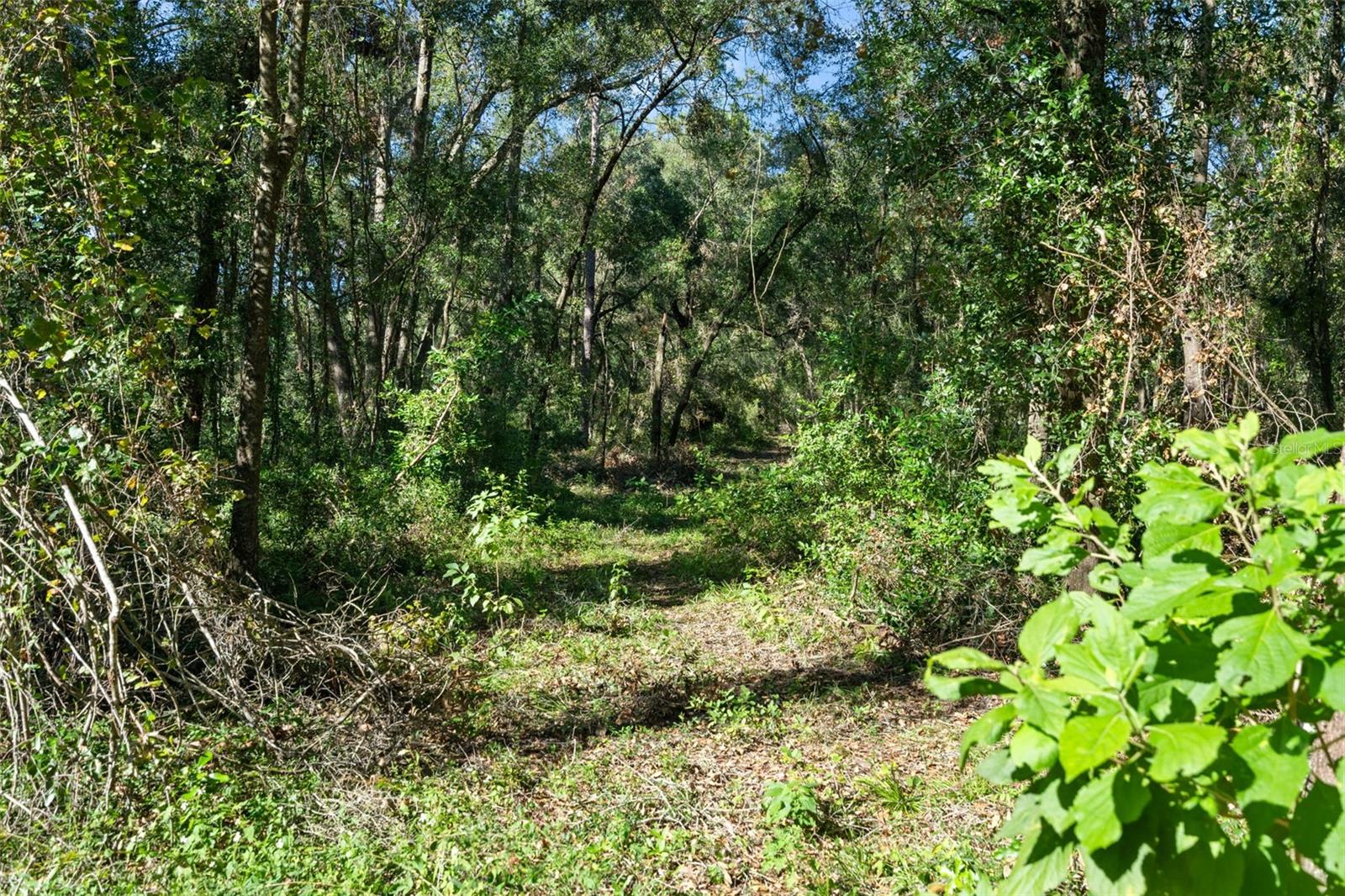 16629 CALDWELL LN, SPRING HILL, FL, 34610