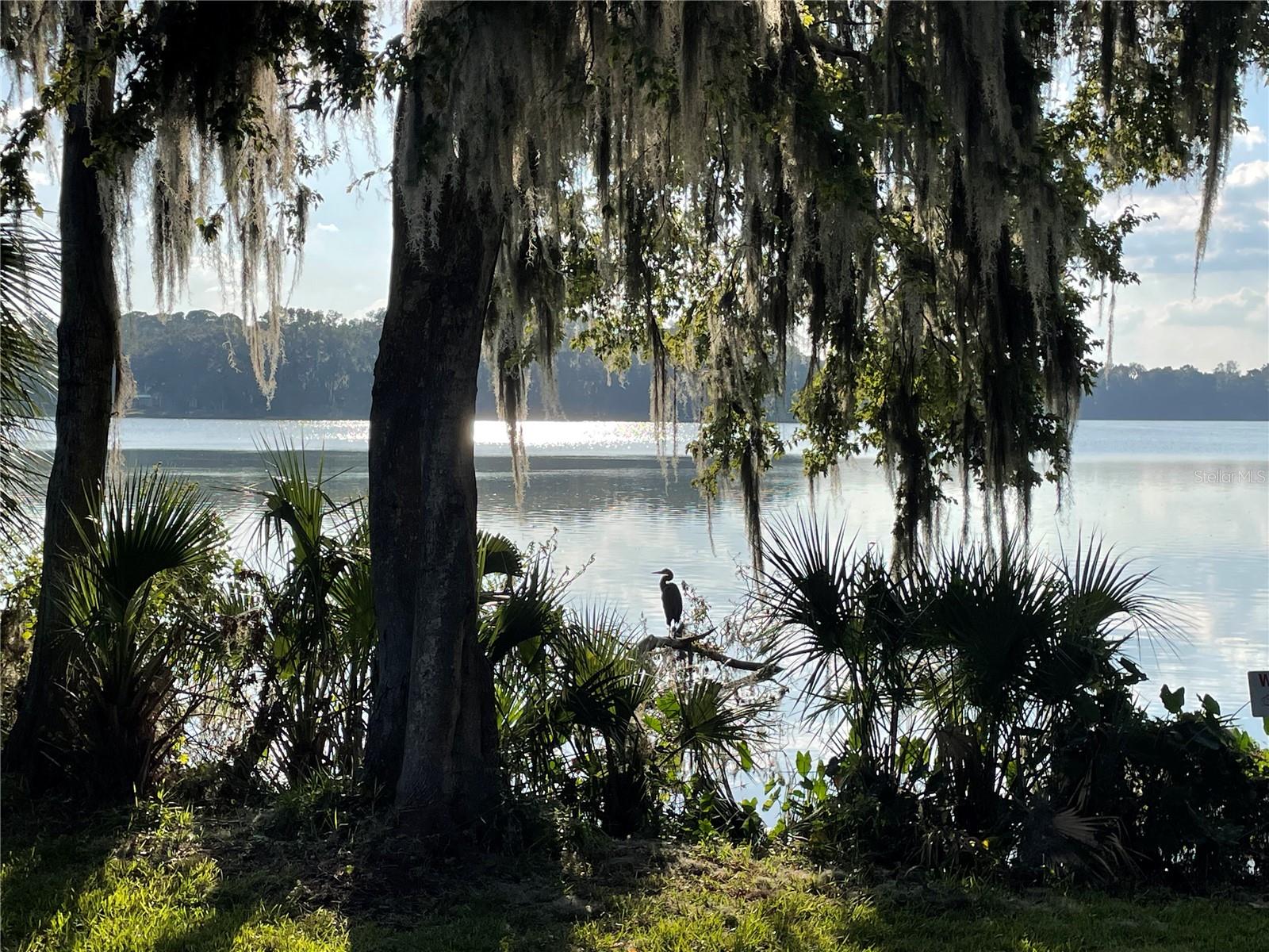 2822 SW 14TH DR #307, GAINESVILLE, FL, 32608