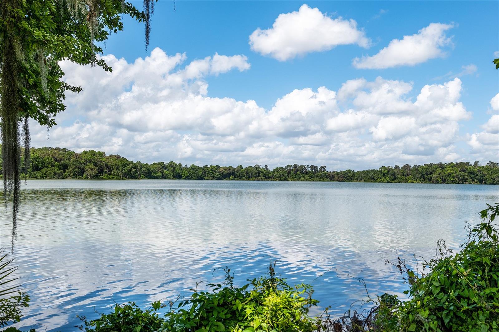 2822 SW 14TH DR #307, GAINESVILLE, FL, 32608