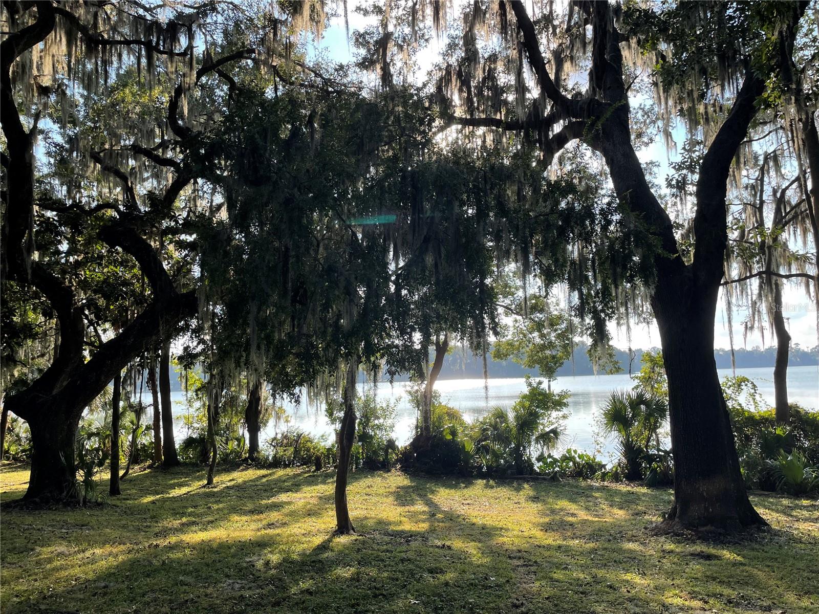 2822 SW 14TH DR #307, GAINESVILLE, FL, 32608