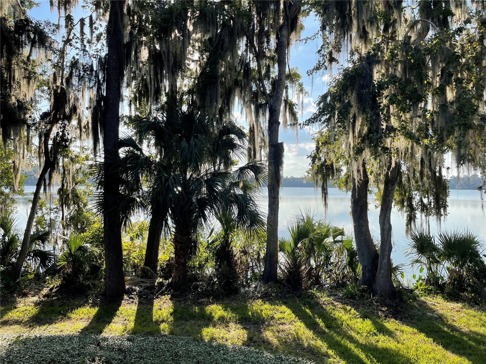 2822 SW 14TH DR #307, GAINESVILLE, FL, 32608