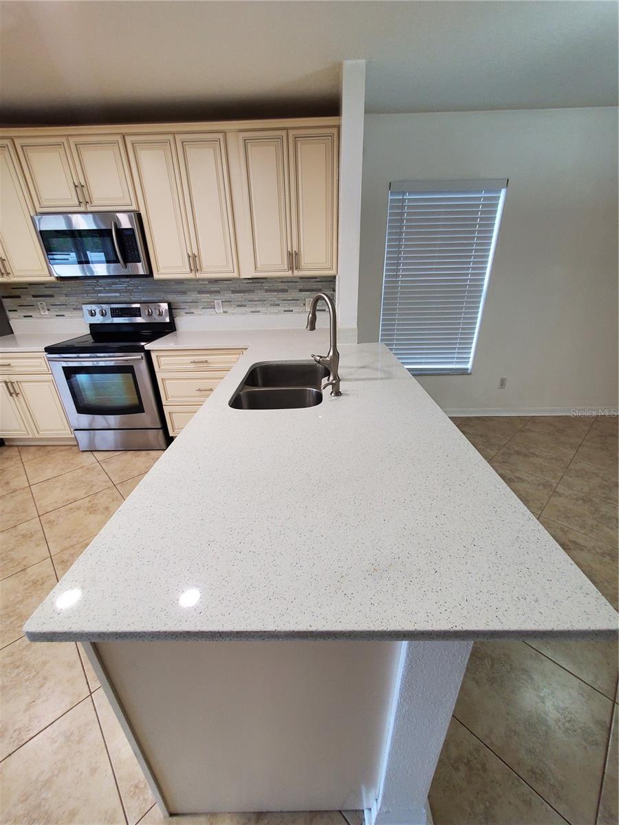 13817 CHIHULY CT, ORLANDO, FL, 32824