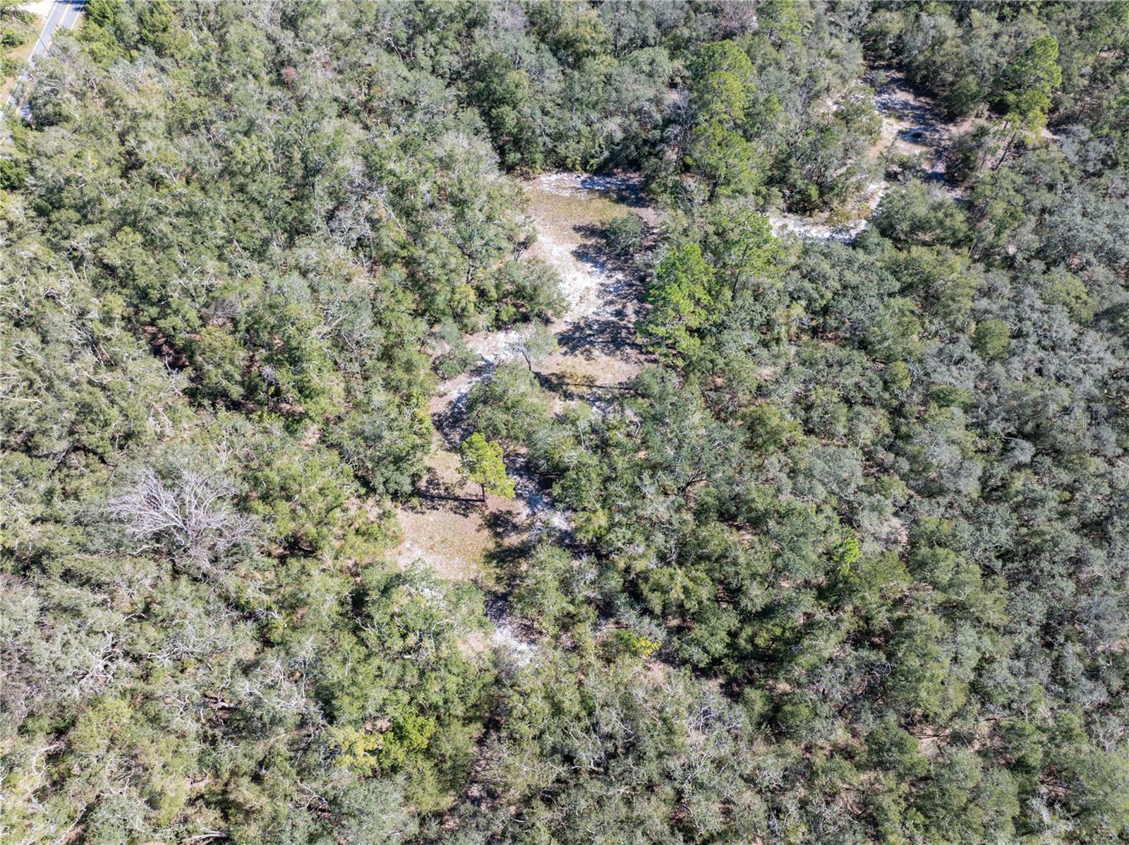 11190 NE 2ND WAY, BRANFORD, FL, 32008