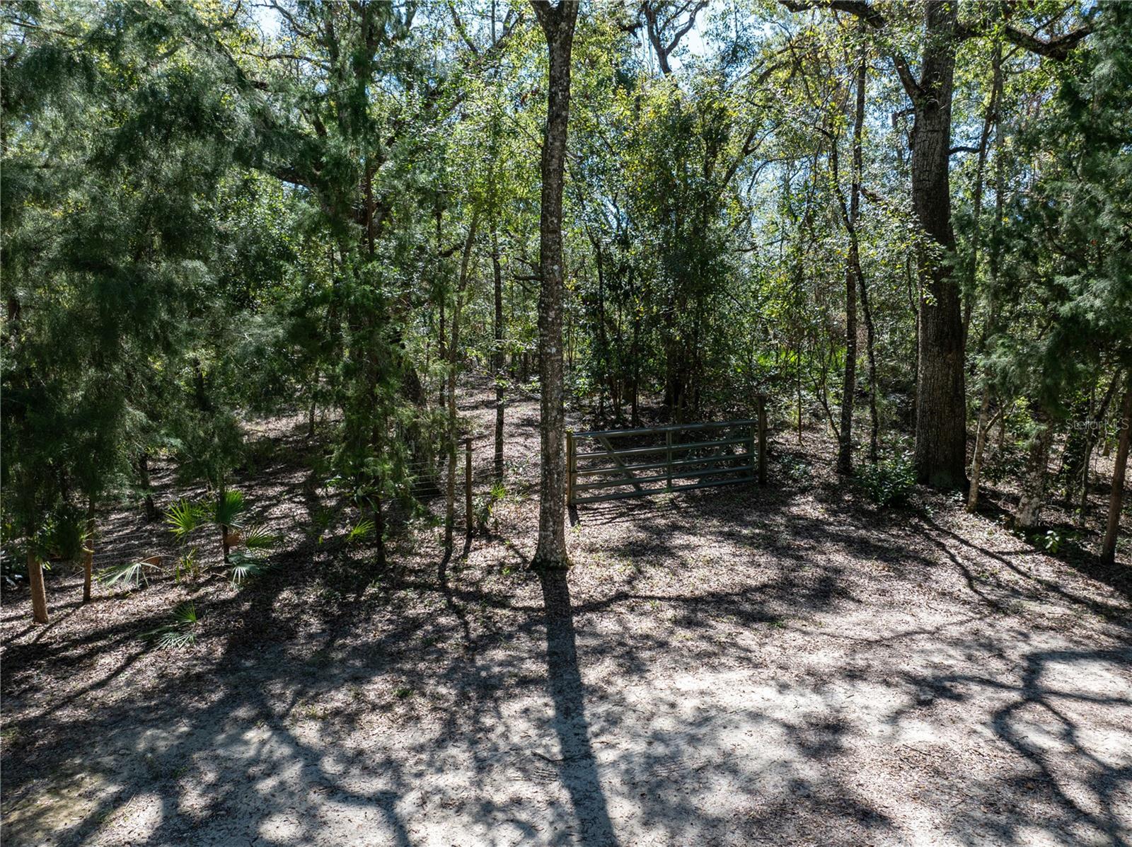 11190 NE 2ND WAY, BRANFORD, FL, 32008