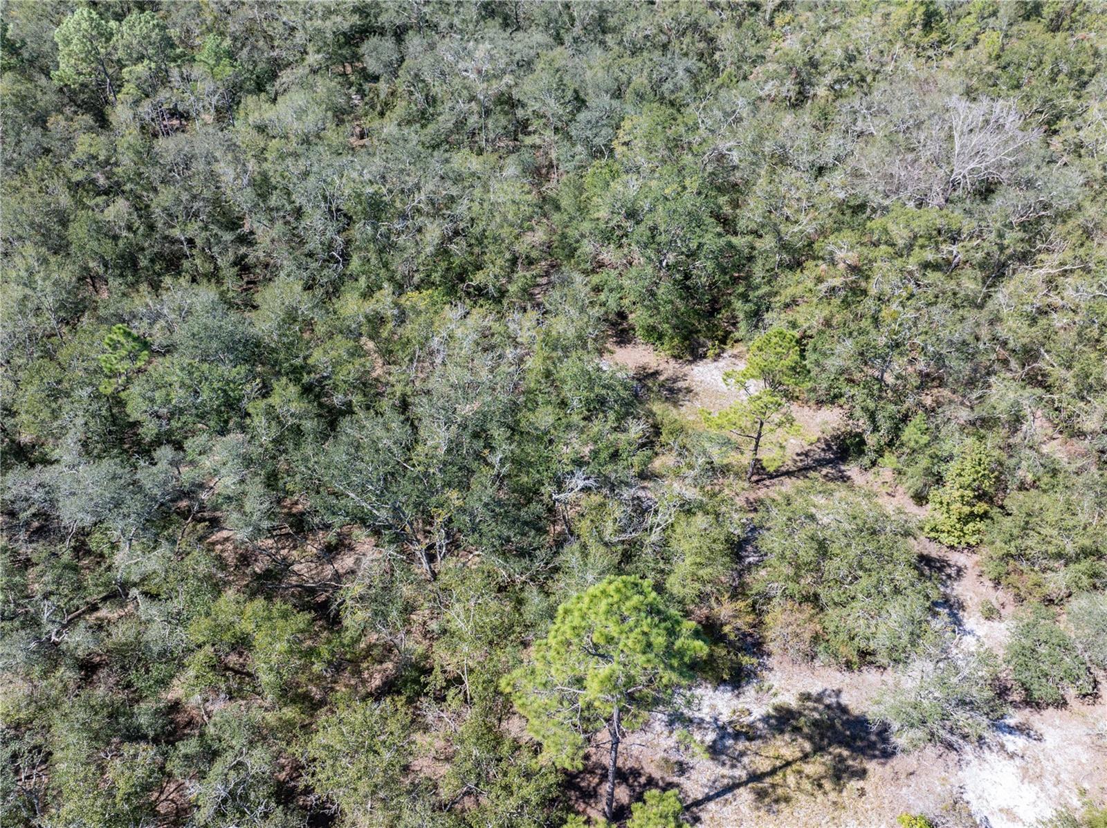 11190 NE 2ND WAY, BRANFORD, FL, 32008